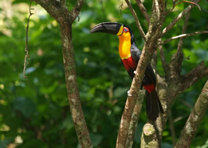 Parque Shangrilá - Socorro